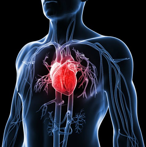 HEART DISEASE: THE SILENT KILLER THAT’S CLOSER THAN YOU THINK