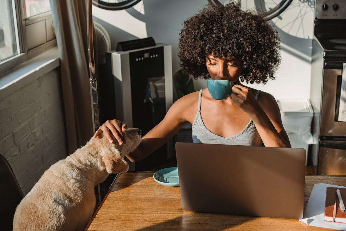 Remote Job vs Freelancing