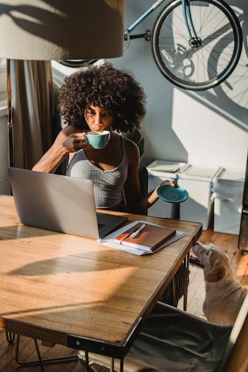 profitable remote career